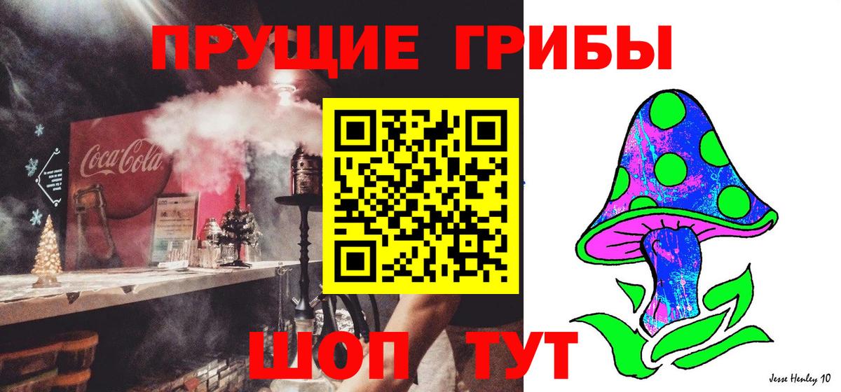 Псилоцибиновые грибы мицелий  Псилоцибиновые грибы Psilocybine cubensis  Хасавюрт  Вход с VPN 