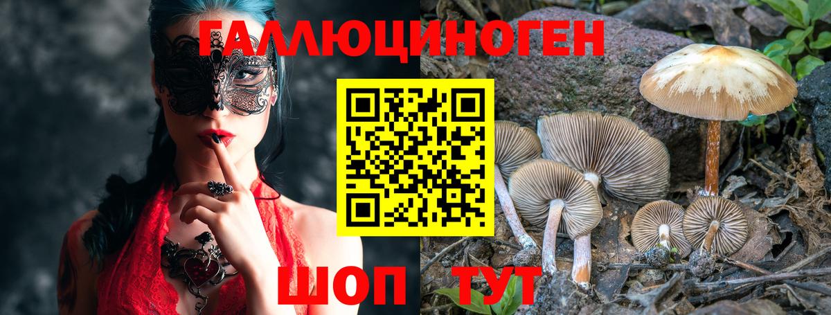 Псилоцибиновые грибы MAGIC MUSHROOMS Хасавюрт
